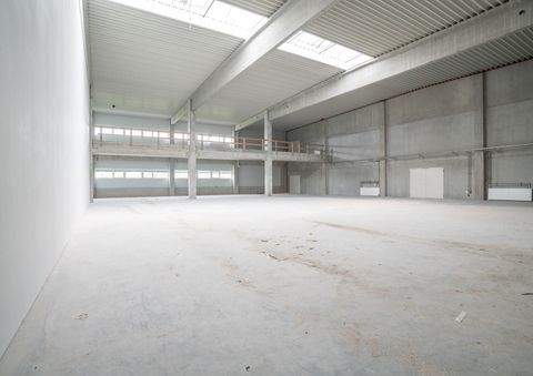 Forchheim Halle, Forchheim Hallenfläche
