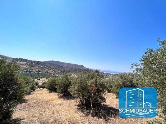 Kreta, Agia Galini: Grundstück in wunderschöner Lage zu verkaufen