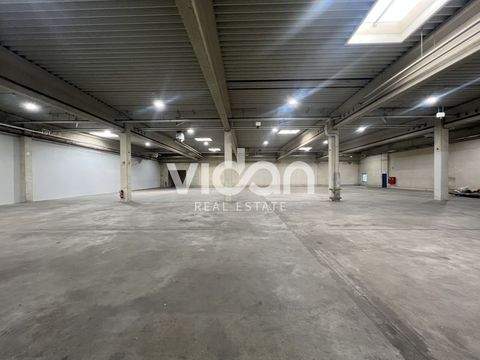 Düsseldorf Halle, Düsseldorf Hallenfläche