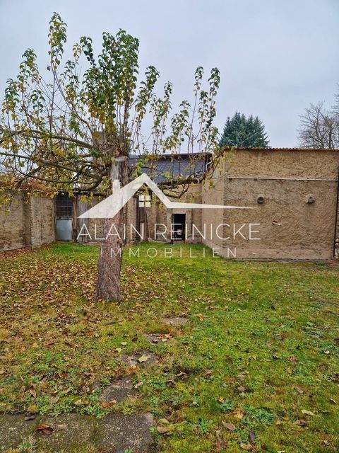 Chemnitz Ladenlokale, Ladenflächen 