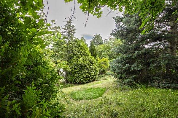 Viel Grün zum Entspannen