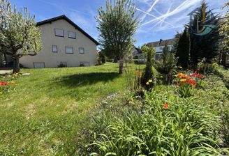 Gartenansicht mit Obstbestand