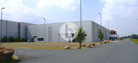 Barsinghausen Halle, Barsinghausen Hallenfläche
