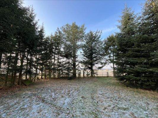 Blick auf den hinteren Grundstücksanteil