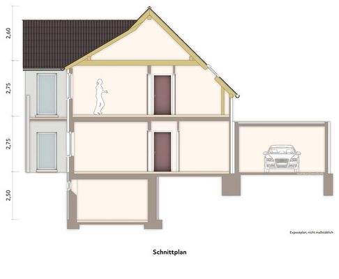 Schnittplan immoGrafik
