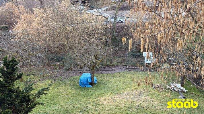 Blick in den Gemeinschaftsgarten