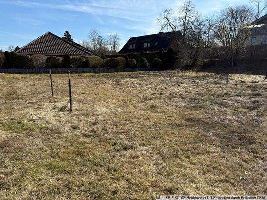 Blick von der Zufahrt