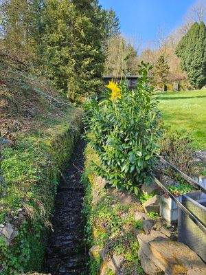 Eigener Bachlauf entlang der Grundstücksgrenze
