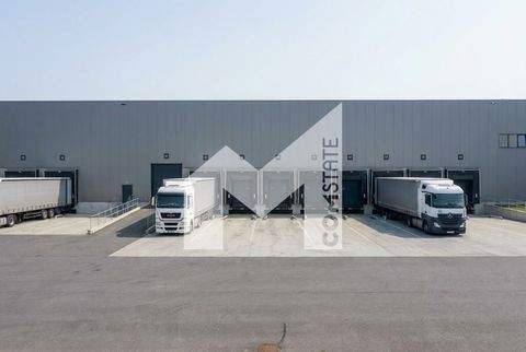 Hagen Halle, Hagen Hallenfläche