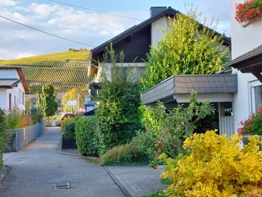 Herrliche Lage mit Blick auf die Weinberge