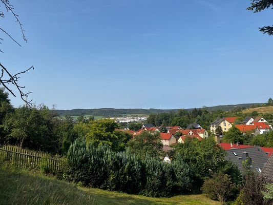 Blick aus dem Garten