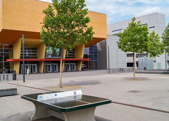 die TU-Chemnitz ganz in der Nähe