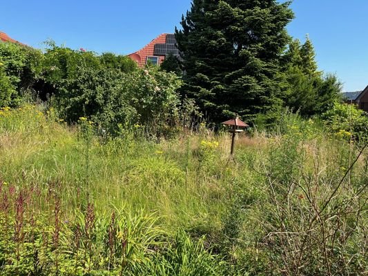 der Garten wartet auf Ihren grünen Daumen