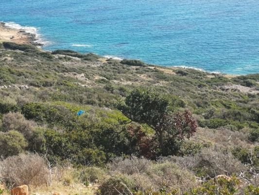 Kreta, Plaka Elounda: Bauland direkt am Meer zu verkaufen