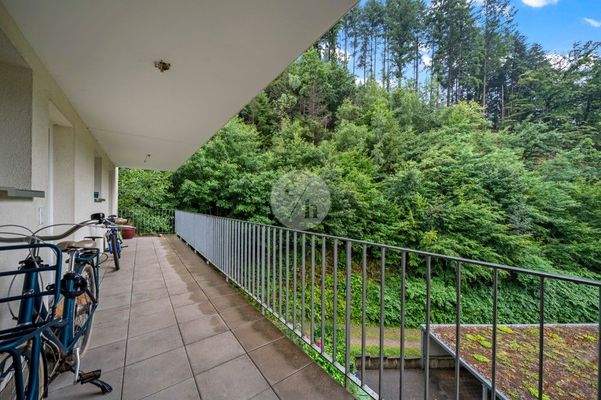 Balkon 1 - Zugang, Sondernutzungsfläche