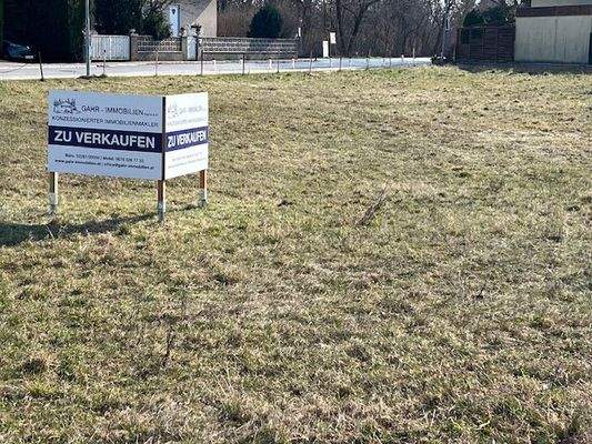 Grundstück mit Werbetafel.jpg