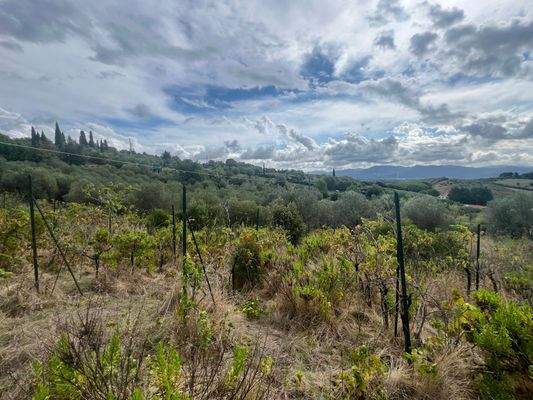 Grundstück Follonica Meerblick