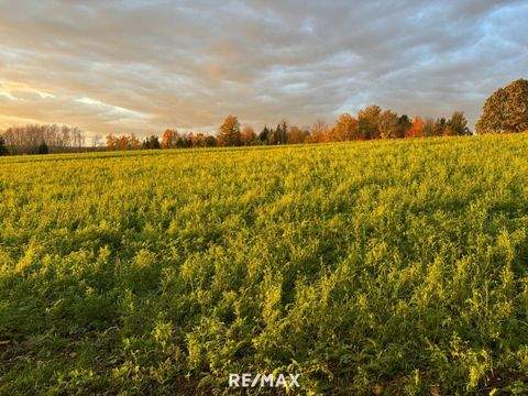 St. Florian am Inn Häuser, St. Florian am Inn Haus kaufen