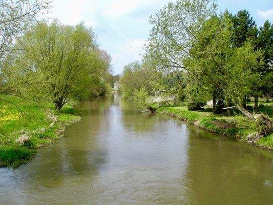 Die Elsteraue - ganz nah
