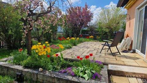 Wallerstein Häuser, Wallerstein Haus kaufen