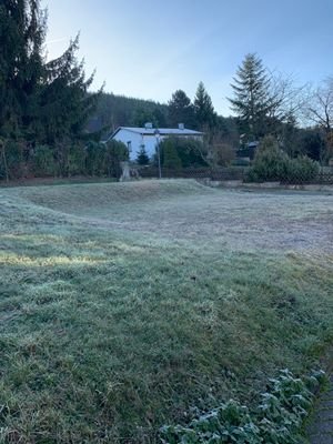 IMG_1352