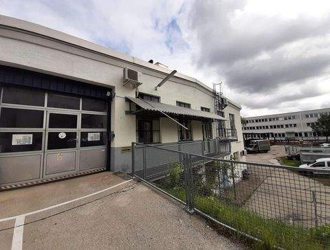 München Halle, München Hallenfläche