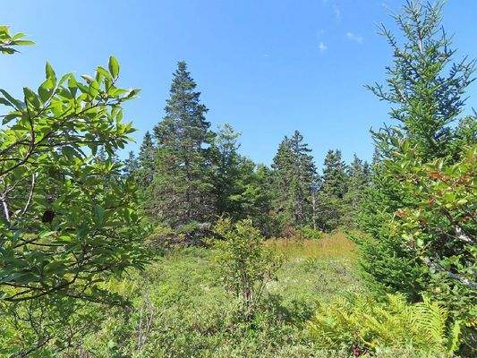 Nova Scotia - Grover?s Point - Wunderschönes Uferg