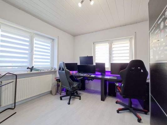 Erdgeschosswohnung - Gamingzimmer