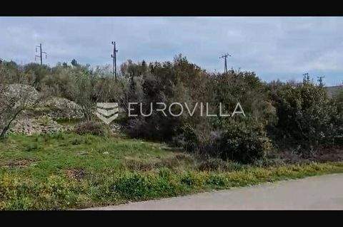 Kali Bauernhöfe, Landwirtschaft, Kali Forstwirtschaft