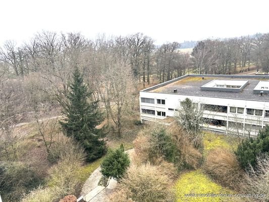 Blick ins Grüne