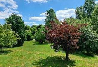 Großzügiges Wohnhaus in idyllischer Ortsrandlage