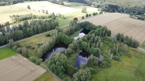 Weißenstadt Bauernhöfe, Landwirtschaft, Weißenstadt Forstwirtschaft