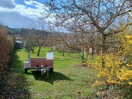 PHOTO-2026-03-16-13-05-41 4