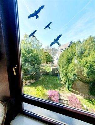 Wintergartenzimmer, Aussicht