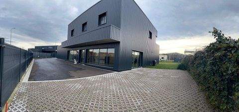 Beinheim Renditeobjekte, Mehrfamilienhäuser, Geschäftshäuser, Kapitalanlage