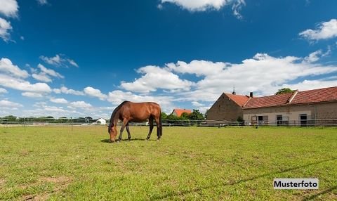 Weida Bauernhöfe, Landwirtschaft, Weida Forstwirtschaft