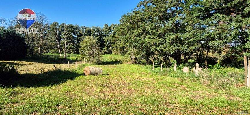 Pferdekoppel gegenüber