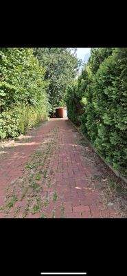 WhatsApp Image 2025-08-02 at 21.25.11 (1)