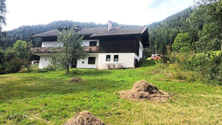 Rückansicht nach Osten vom Ende des Grundstücks au