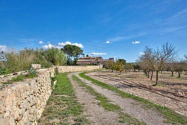 Montuiri Mallorca Landhaus zu verkaufen finca rustikal  89021