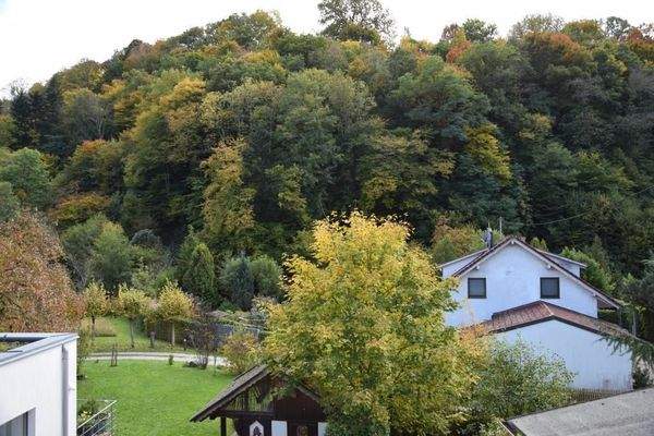 Aussicht ins Grüne OG