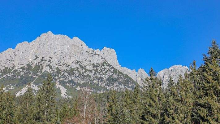KITZIMMO-Neubauvilla in sonniger Top-Ruhelage kaufen - Immobilien Ellmau am Wilden Kaiser.