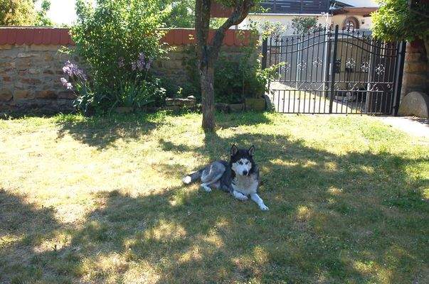 Hintere Ein-Ausfahrt