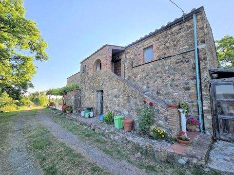 Monterotondo Marittimo Häuser, Monterotondo Marittimo Haus kaufen