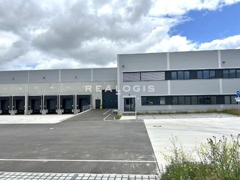 Mittenwalde Halle, Mittenwalde Hallenfläche