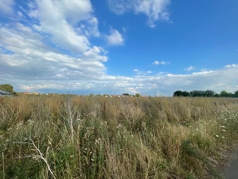 Hillesheim Grundstücke, Hillesheim Grundstück kaufen