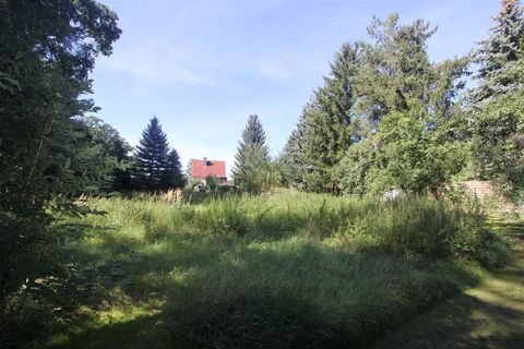 Dessau-Roßlau-Mosigkau Grundstücke, Dessau-Roßlau-Mosigkau Grundstück kaufen