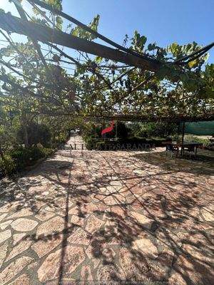 WhatsApp Image 2024-09-06 at 10.28.47 (4).jpeg