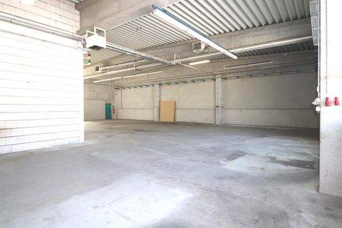 Geroldsgrün Halle, Geroldsgrün Hallenfläche