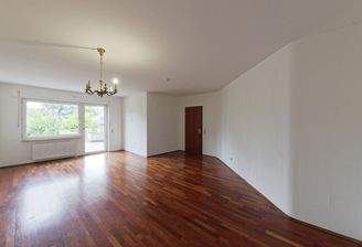 geräumiges Wohnzimmer